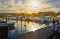 Tutukaka;Northland;sandy_beaches;bachs;holiday_homes;bush;native_forrest;golden_